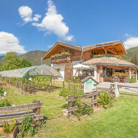 B&B Dalla Fattoria Della Patty ピエーヴェ・ディ・レードロ エクステリア 写真