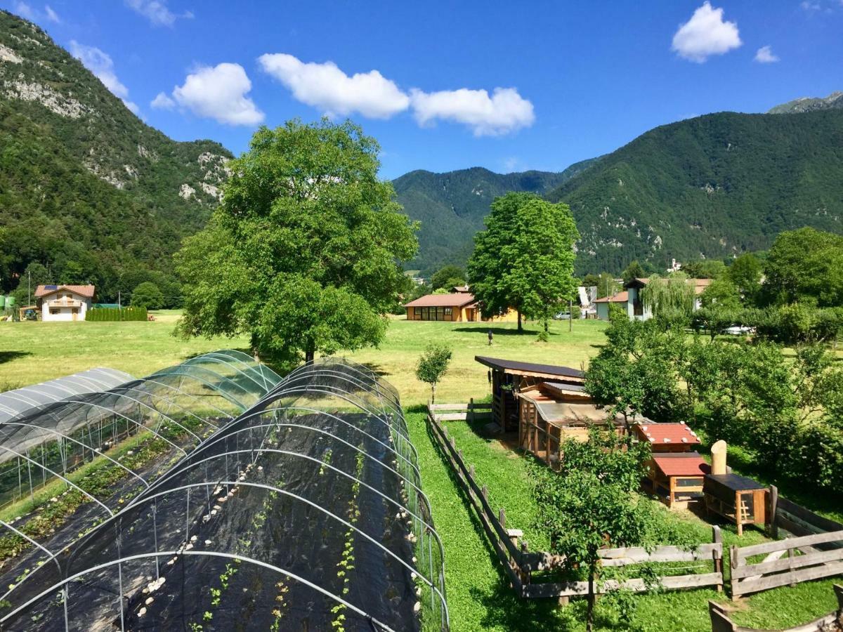 B&B Dalla Fattoria Della Patty ピエーヴェ・ディ・レードロ エクステリア 写真